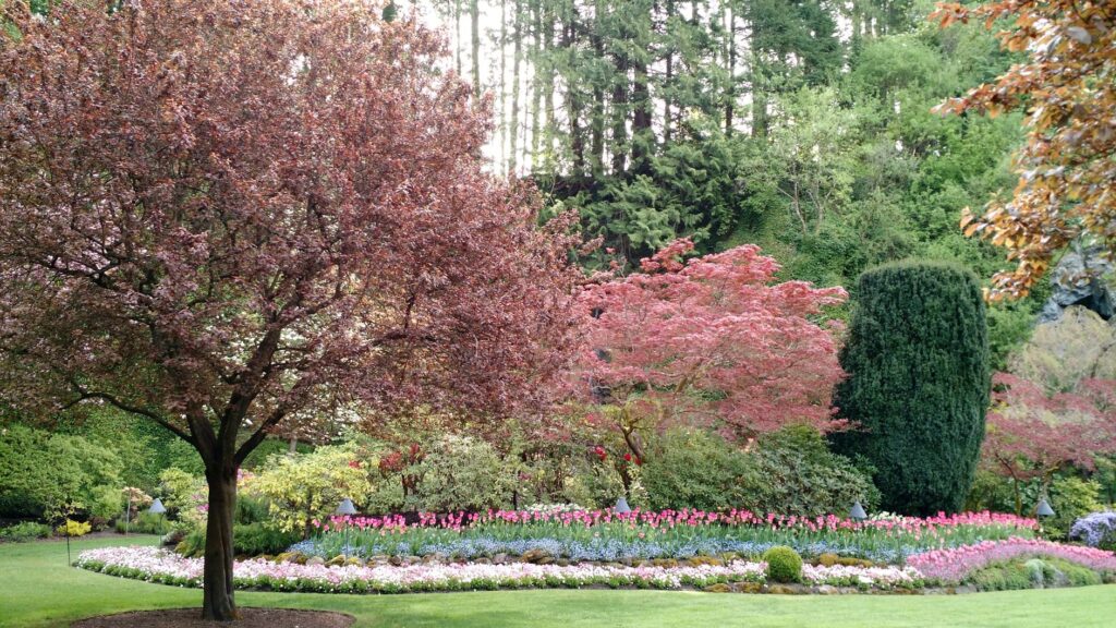 Bearing Fruit - Decoding The Word